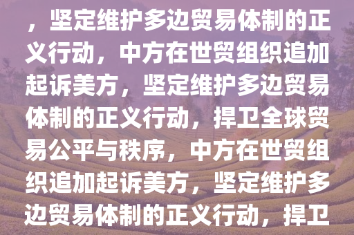 中方在世贸组织追加起诉美方，坚定维护多边贸易体制的正义行动，中方在世贸组织追加起诉美方，坚定维护多边贸易体制的正义行动，捍卫全球贸易公平与秩序，中方在世贸组织追加起诉美方，坚定维护多边贸易体制的正义行动，捍卫全球贸易公平与秩序之战