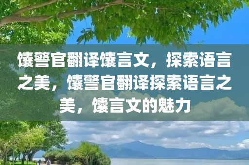 馕警官翻译馕言文，探索语言之美，馕警官翻译探索语言之美，馕言文的魅力