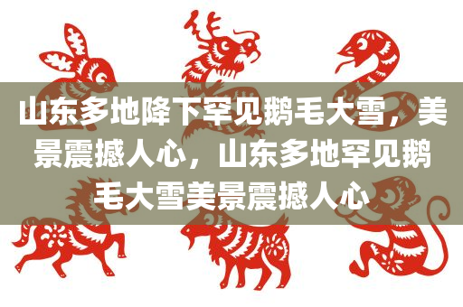 山东多地降下罕见鹅毛大雪，美景震撼人心，山东多地罕见鹅毛大雪美景震撼人心
