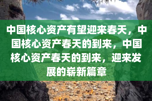 中国核心资产有望迎来春天，中国核心资产春天的到来，中国核心资产春天的到来，迎来发展的崭新篇章
