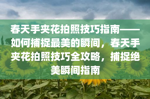 春天手夹花拍照技巧指南——如何捕捉最美的瞬间，春天手夹花拍照技巧全攻略，捕捉绝美瞬间指南