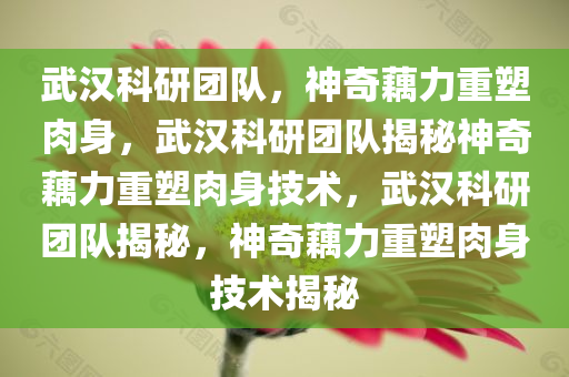 武汉科研团队，神奇藕力重塑肉身，武汉科研团队揭秘神奇藕力重塑肉身技术，武汉科研团队揭秘，神奇藕力重塑肉身技术揭秘