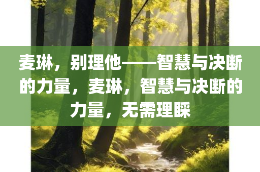 麦琳，别理他——智慧与决断的力量，麦琳，智慧与决断的力量，无需理睬