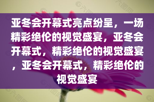 亚冬会开幕式亮点纷呈，一场精彩绝伦的视觉盛宴，亚冬会开幕式，精彩绝伦的视觉盛宴，亚冬会开幕式，精彩绝伦的视觉盛宴