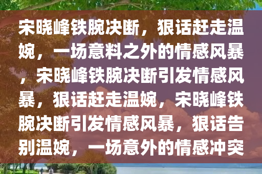 宋晓峰铁腕决断，狠话赶走温婉，一场意料之外的情感风暴，宋晓峰铁腕决断引发情感风暴，狠话赶走温婉，宋晓峰铁腕决断引发情感风暴，狠话告别温婉，一场意外的情感冲突