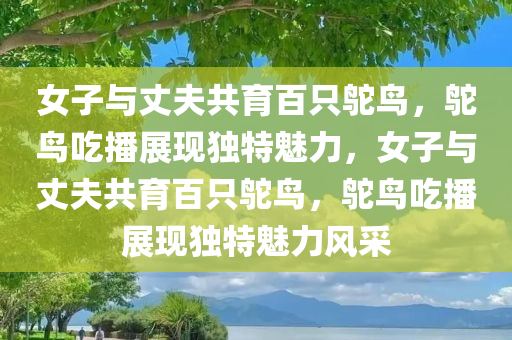 女子与丈夫共育百只鸵鸟，鸵鸟吃播展现独特魅力，女子与丈夫共育百只鸵鸟，鸵鸟吃播展现独特魅力风采