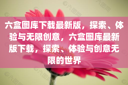 六盒图库下载最新版，探索、体验与无限创意，六盒图库最新版下载，探索、体验与创意无限的世界