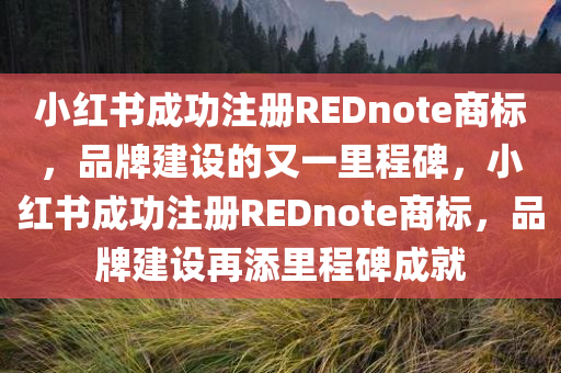 小红书成功注册REDnote商标，品牌建设的又一里程碑，小红书成功注册REDnote商标，品牌建设再添里程碑成就
