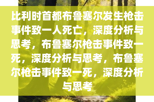 比利时首都布鲁塞尔发生枪击事件致一人死亡，深度分析与思考，布鲁塞尔枪击事件致一死，深度分析与思考，布鲁塞尔枪击事件致一死，深度分析与思考