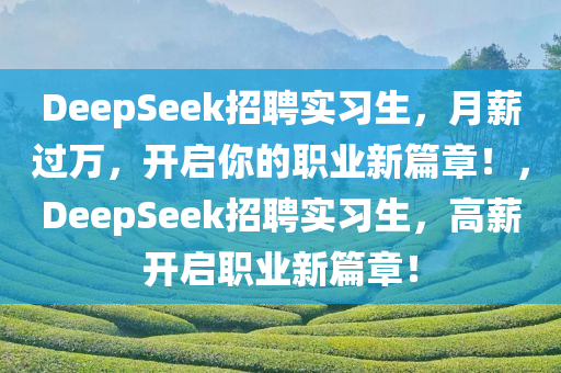 DeepSeek招聘实习生，月薪过万，开启你的职业新篇章！，DeepSeek招聘实习生，高薪开启职业新篇章！