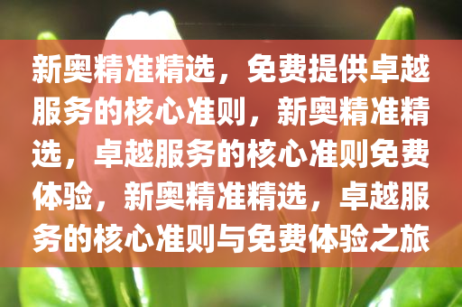 新奥精准精选，免费提供卓越服务的核心准则，新奥精准精选，卓越服务的核心准则免费体验，新奥精准精选，卓越服务的核心准则与免费体验之旅