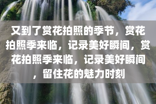 又到了赏花拍照的季节，赏花拍照季来临，记录美好瞬间，赏花拍照季来临，记录美好瞬间，留住花的魅力时刻