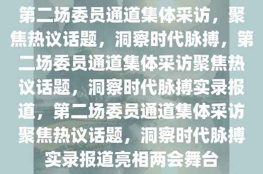 第二场委员通道集体采访，聚焦热议话题，洞察时代脉搏，第二场委员通道集体采访聚焦热议话题，洞察时代脉搏实录报道，第二场委员通道集体采访聚焦热议话题，洞察时代脉搏实录报道亮相两会舞台