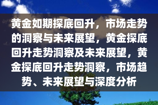 黄金如期探底回升，市场走势的洞察与未来展望，黄金探底回升走势洞察及未来展望，黄金探底回升走势洞察，市场趋势、未来展望与深度分析