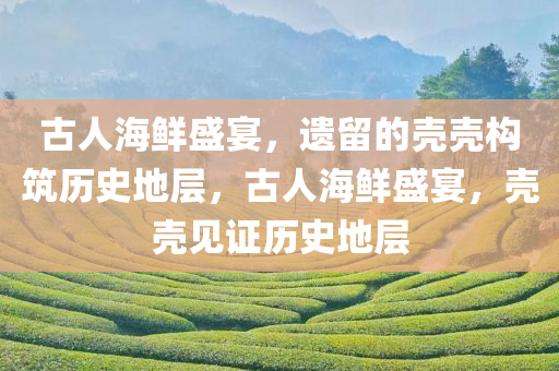 古人海鲜盛宴，遗留的壳壳构筑历史地层，古人海鲜盛宴，壳壳见证历史地层