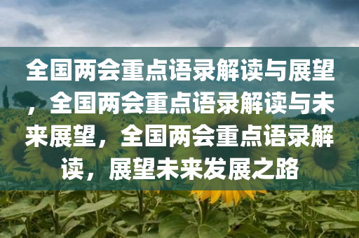 全国两会重点语录解读与展望，全国两会重点语录解读与未来展望，全国两会重点语录解读，展望未来发展之路