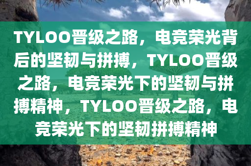 TYLOO晋级之路，电竞荣光背后的坚韧与拼搏，TYLOO晋级之路，电竞荣光下的坚韧与拼搏精神，TYLOO晋级之路，电竞荣光下的坚韧拼搏精神