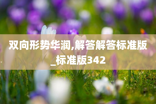 双向形势华润,解答解答标准版_标准版342