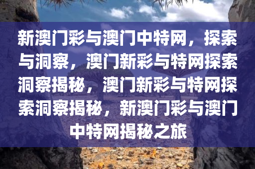 新澳门彩与澳门中特网，探索与洞察，澳门新彩与特网探索洞察揭秘，澳门新彩与特网探索洞察揭秘，新澳门彩与澳门中特网揭秘之旅