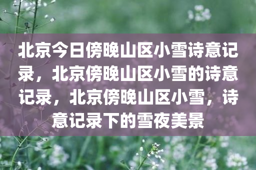 北京今日傍晚山区小雪诗意记录，北京傍晚山区小雪的诗意记录，北京傍晚山区小雪，诗意记录下的雪夜美景