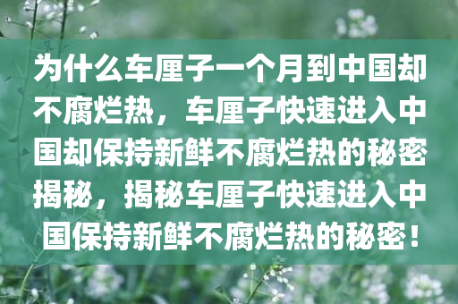 为什么车厘子一个月到中国却不腐烂热，车厘子快速进入中国却保持新鲜不腐烂热的秘密揭秘，揭秘车厘子快速进入中国保持新鲜不腐烂热的秘密！