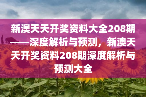 新澳天天开奖资料大全208期——深度解析与预测，新澳天天开奖资料208期深度解析与预测大全