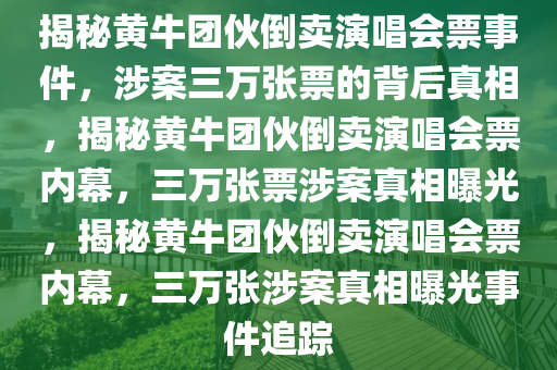 揭秘黄牛团伙倒卖演唱会票事件，涉案三万张票的背后真相，揭秘黄牛团伙倒卖演唱会票内幕，三万张票涉案真相曝光，揭秘黄牛团伙倒卖演唱会票内幕，三万张涉案真相曝光事件追踪
