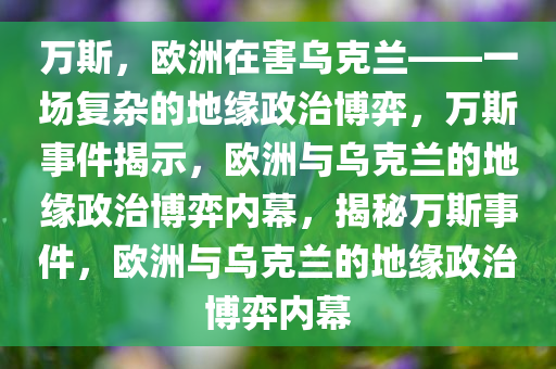 万斯，欧洲在害乌克兰——一场复杂的地缘政治博弈，万斯事件揭示，欧洲与乌克兰的地缘政治博弈内幕，揭秘万斯事件，欧洲与乌克兰的地缘政治博弈内幕
