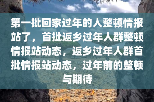 第一批回家过年的人整顿情报站了，首批返乡过年人群整顿情报站动态，返乡过年人群首批情报站动态，过年前的整顿与期待