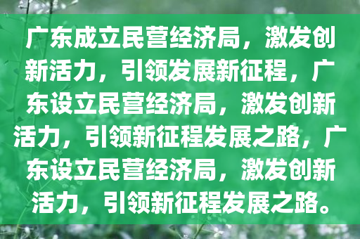 广东成立民营经济局，激发创新活力，引领发展新征程，广东设立民营经济局，激发创新活力，引领新征程发展之路，广东设立民营经济局，激发创新活力，引领新征程发展之路。