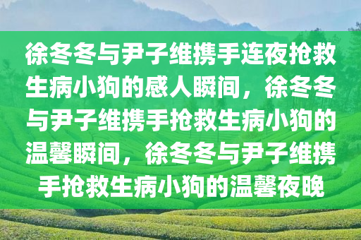 徐冬冬与尹子维携手连夜抢救生病小狗的感人瞬间，徐冬冬与尹子维携手抢救生病小狗的温馨瞬间，徐冬冬与尹子维携手抢救生病小狗的温馨夜晚