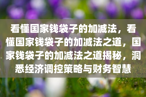 看懂国家钱袋子的加减法，看懂国家钱袋子的加减法之道，国家钱袋子的加减法之道揭秘，洞悉经济调控策略与财务智慧
