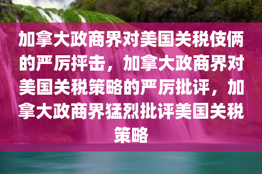 加拿大政商界对美国关税伎俩的严厉抨击，加拿大政商界对美国关税策略的严厉批评，加拿大政商界猛烈批评美国关税策略