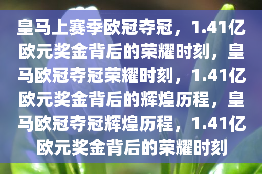 皇马上赛季欧冠夺冠，1.41亿欧元奖金背后的荣耀时刻，皇马欧冠夺冠荣耀时刻，1.41亿欧元奖金背后的辉煌历程，皇马欧冠夺冠辉煌历程，1.41亿欧元奖金背后的荣耀时刻