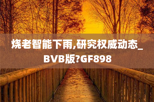 烧老智能下雨,研究权威动态_BVB版?GF898