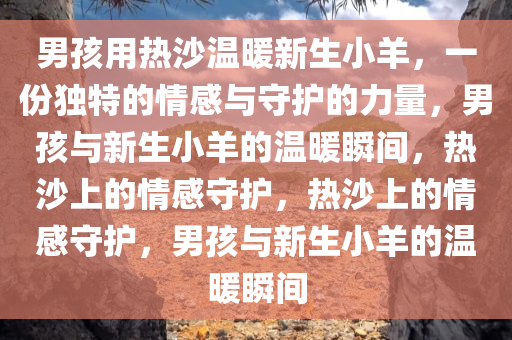男孩用热沙温暖新生小羊，一份独特的情感与守护的力量，男孩与新生小羊的温暖瞬间，热沙上的情感守护，热沙上的情感守护，男孩与新生小羊的温暖瞬间