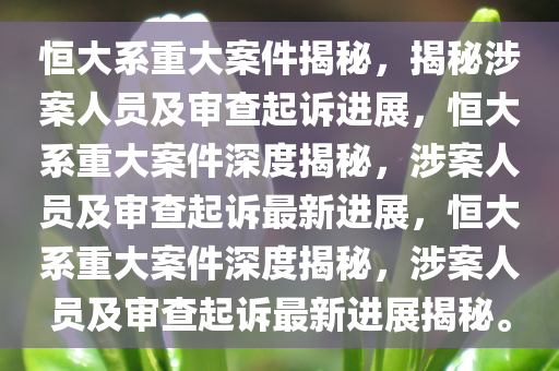 恒大系重大案件揭秘，揭秘涉案人员及审查起诉进展，恒大系重大案件深度揭秘，涉案人员及审查起诉最新进展，恒大系重大案件深度揭秘，涉案人员及审查起诉最新进展揭秘。