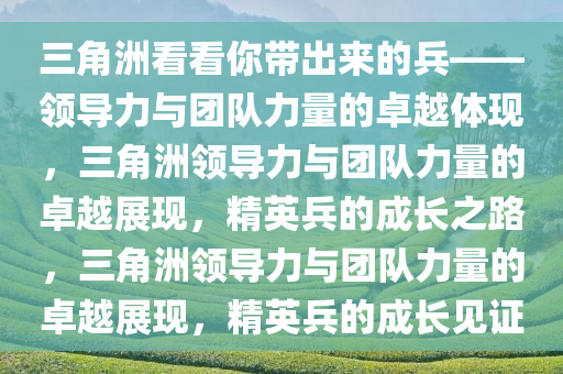 三角洲看看你带出来的兵