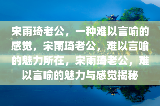宋雨琦老公，一种难以言喻的感觉，宋雨琦老公，难以言喻的魅力所在，宋雨琦老公，难以言喻的魅力与感觉揭秘