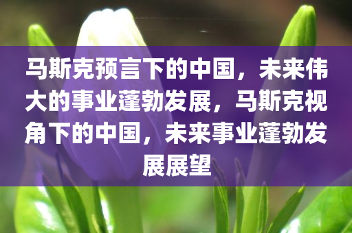 马斯克预言下的中国，未来伟大的事业蓬勃发展，马斯克视角下的中国，未来事业蓬勃发展展望