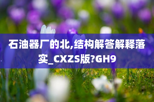 石油器厂的北,结构解答解释落实_CXZS版?GH9