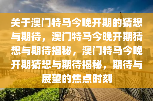 2024澳门特马今晚开