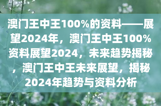 澳门王中王100%的资料——展望2024年，澳门王中王100%资料展望2024，未来趋势揭秘，澳门王中王未来展望，揭秘2024年趋势与资料分析