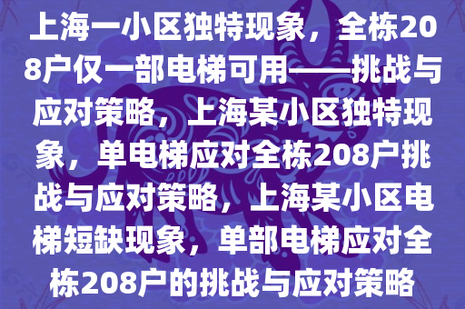 上海一小区独特现象，全栋208户仅一部电梯可用——挑战与应对策略，上海某小区独特现象，单电梯应对全栋208户挑战与应对策略，上海某小区电梯短缺现象，单部电梯应对全栋208户的挑战与应对策略
