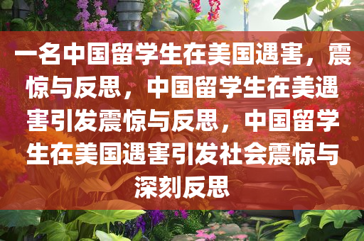 一名中国留学生在美国遇害，震惊与反思，中国留学生在美遇害引发震惊与反思，中国留学生在美国遇害引发社会震惊与深刻反思