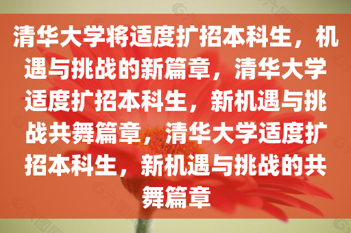 清华大学将适度扩招本科生，机遇与挑战的新篇章，清华大学适度扩招本科生，新机遇与挑战共舞篇章，清华大学适度扩招本科生，新机遇与挑战的共舞篇章