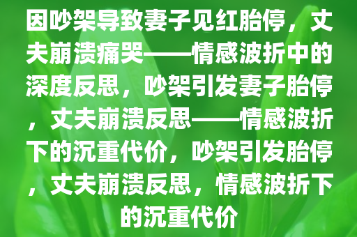 因吵架导致妻子见红胎停，丈夫崩溃痛哭——情感波折中的深度反思，吵架引发妻子胎停，丈夫崩溃反思——情感波折下的沉重代价，吵架引发胎停，丈夫崩溃反思，情感波折下的沉重代价