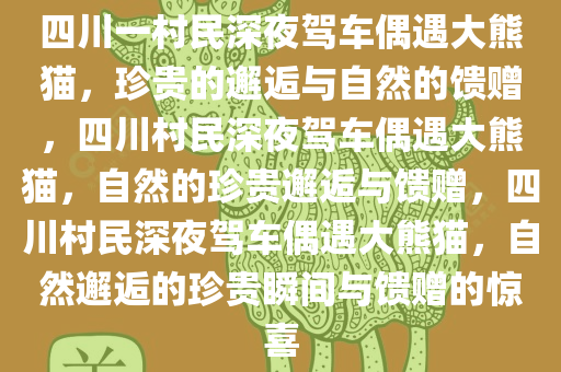 四川一村民深夜驾车偶遇大熊猫，珍贵的邂逅与自然的馈赠，四川村民深夜驾车偶遇大熊猫，自然的珍贵邂逅与馈赠，四川村民深夜驾车偶遇大熊猫，自然邂逅的珍贵瞬间与馈赠的惊喜