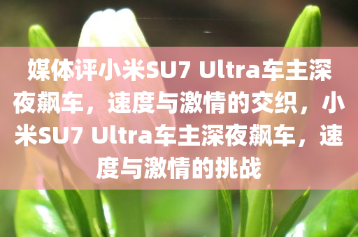 hualu 第4页