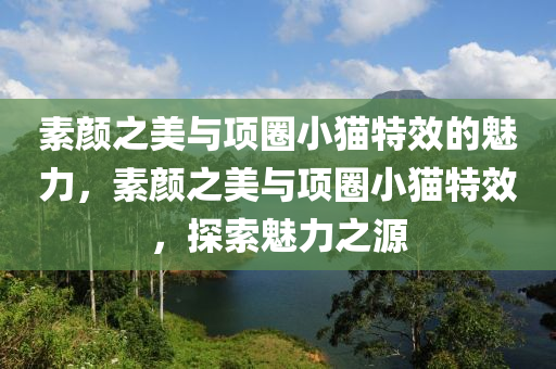 素颜之美与项圈小猫特效的魅力，素颜之美与项圈小猫特效，探索魅力之源